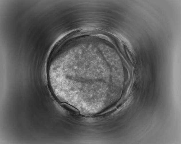 X0000086940792200705141801