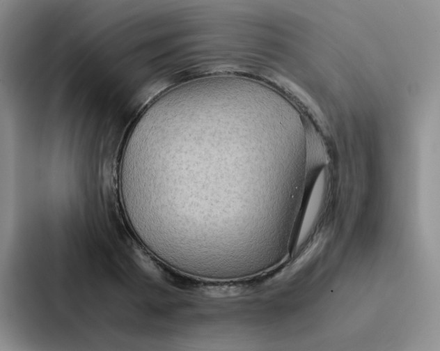 X0000086940793200705141801