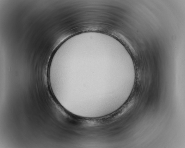 X0000086940794200705141801