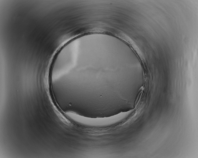 X0000086940795200705141801