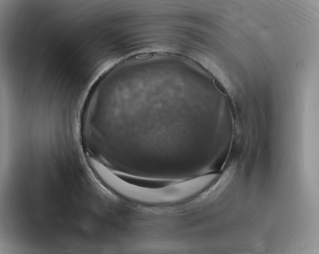 X0000086940797200705141801