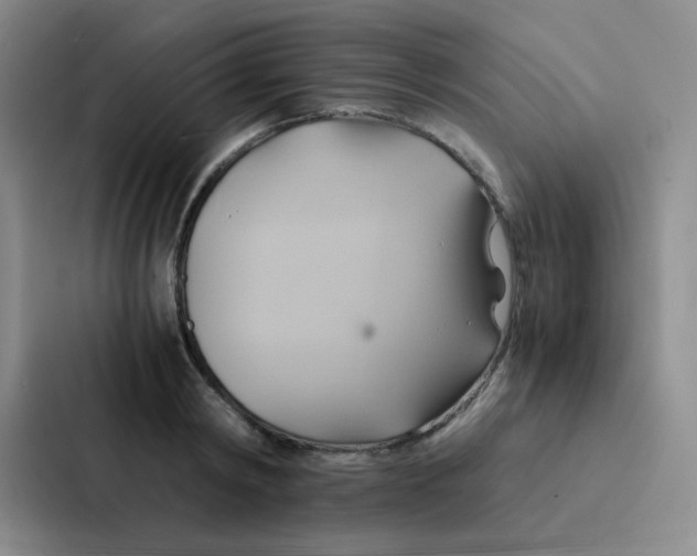 X0000086940798200705141801