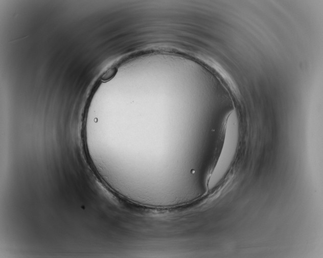 X0000086940799200705141801