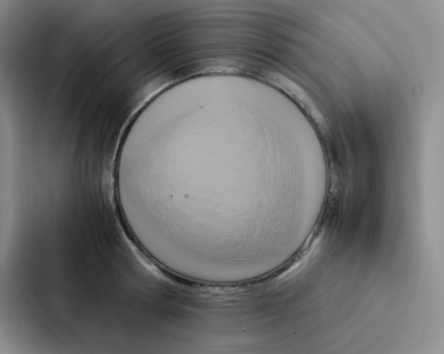 X0000086940802200705141801