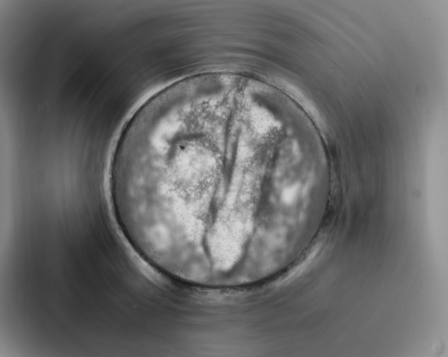 X0000086940803200705141801