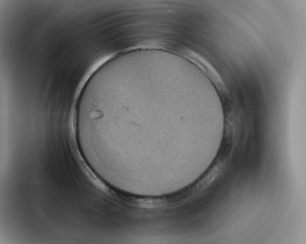 X0000086940804200705141801