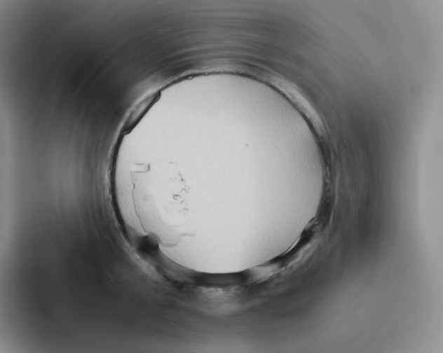 X0000086940805200705141801