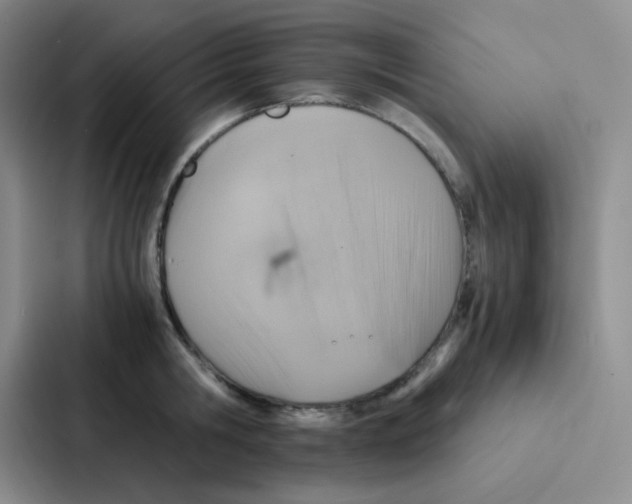 X0000086940806200705141801