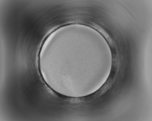 X0000086940807200705141801