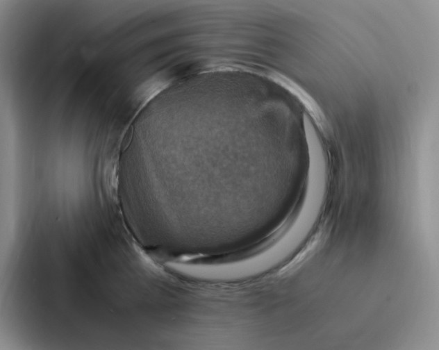 X0000086940809200705141801