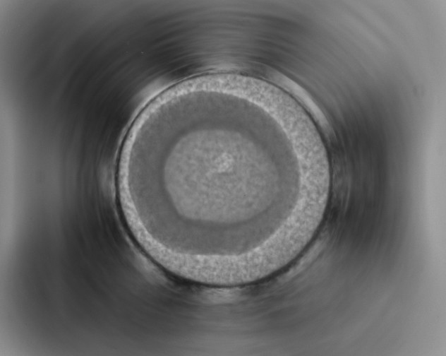 X0000086940810200705141801