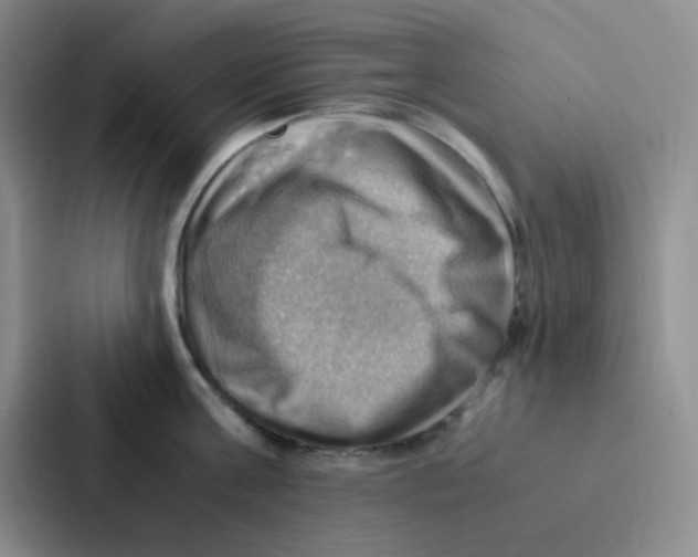 X0000086940811200705141801