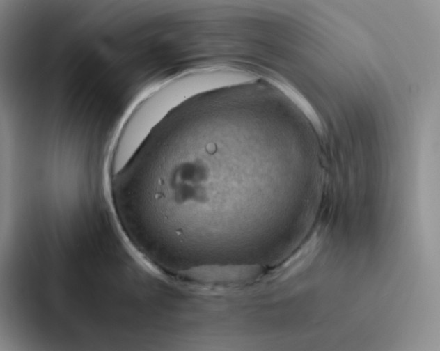 X0000086940813200705141801