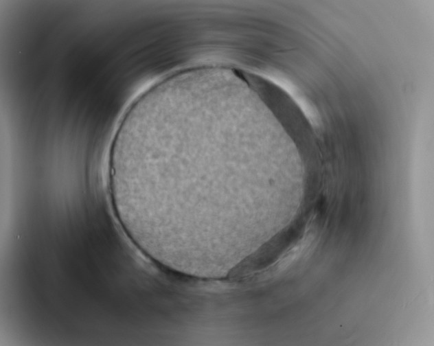 X0000086940815200705141801