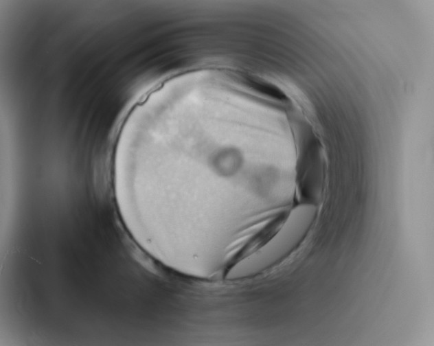 X0000086940816200705141801