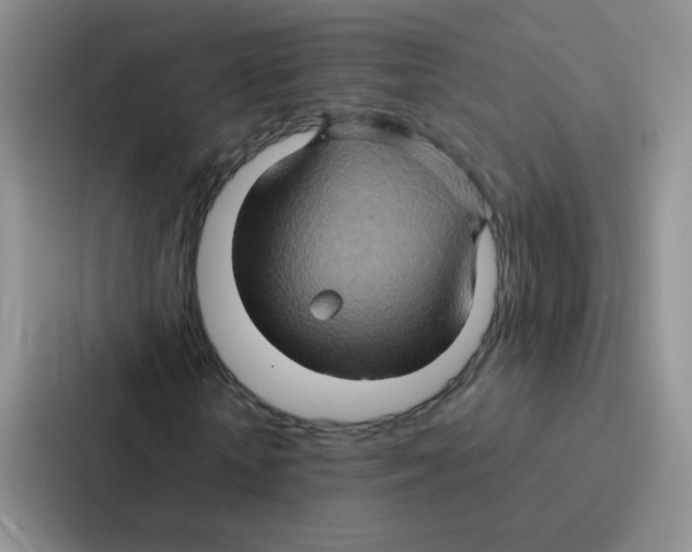 X0000086940818200705141800