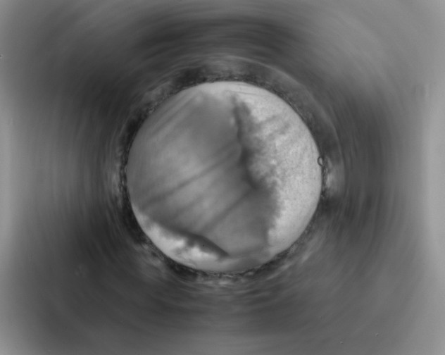 X0000086940819200705141800