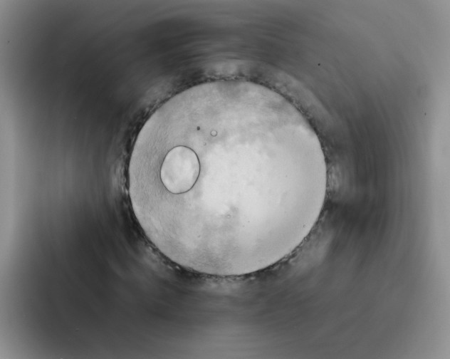 X0000086940820200705141800