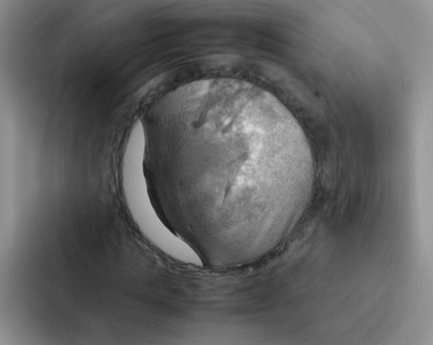 X0000086940821200705141800