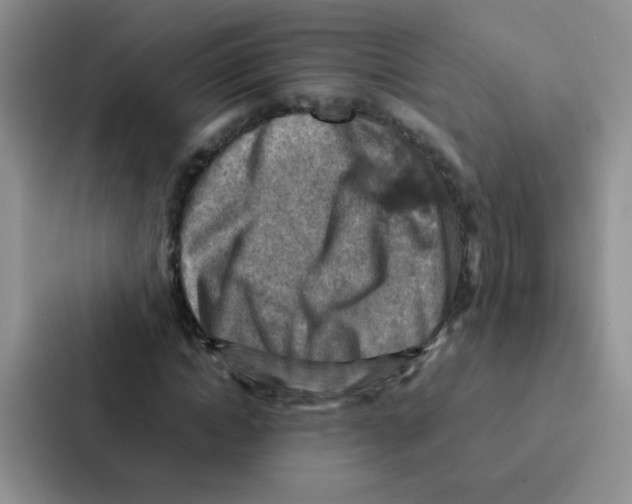 X0000086940822200705141800