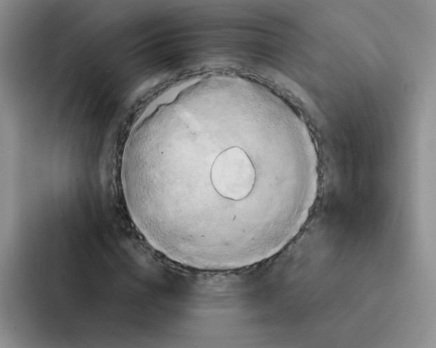 X0000086940824200705141800