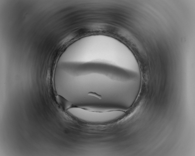 X0000086940825200705141800