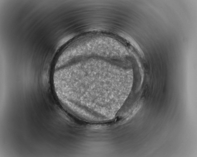 X0000086940826200705141800