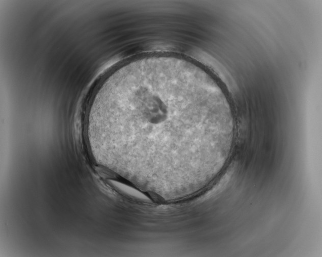 X0000086940827200705141800