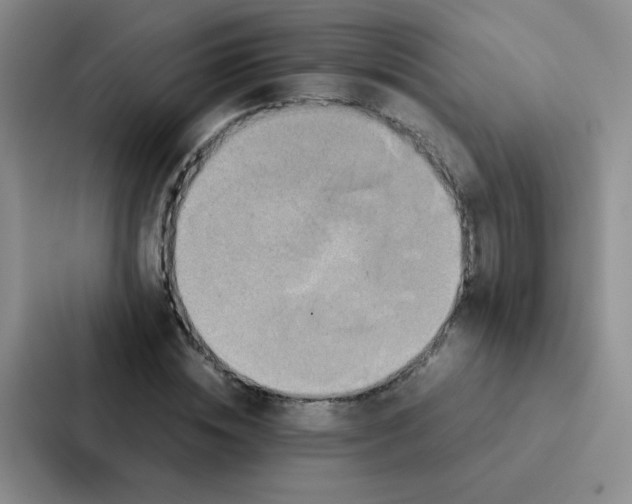 X0000086940828200705141800