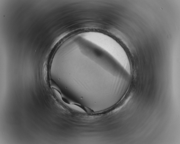 X0000086940829200705141800