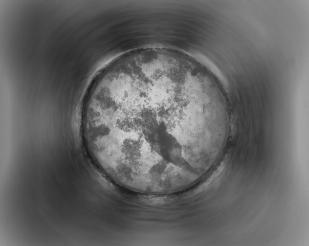 X0000086940831200705141800