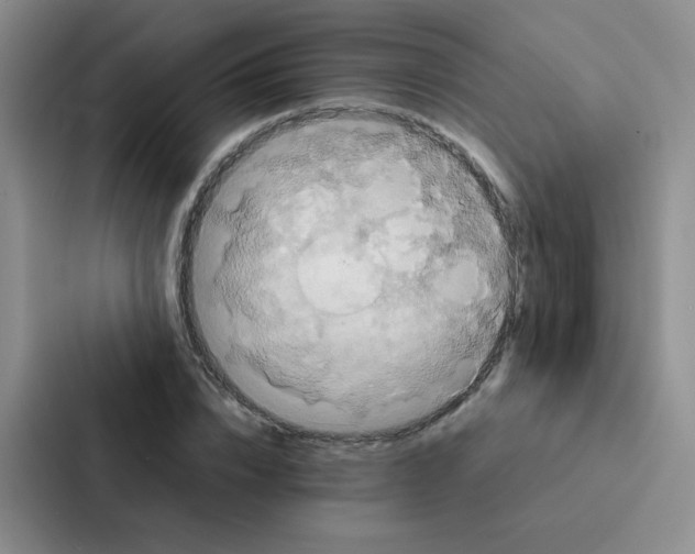 X0000086940832200705141800