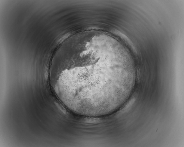 X0000086940833200705141800