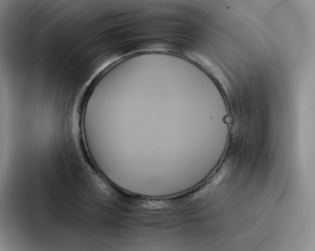 X0000086940835200705141800