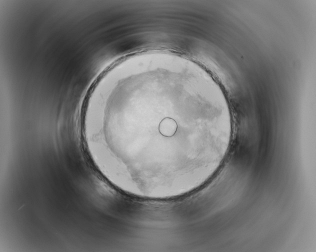 X0000086940836200705141800