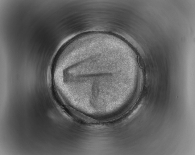 X0000086940838200705141800