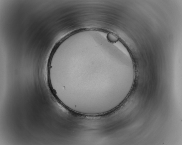 X0000086940840200705141800