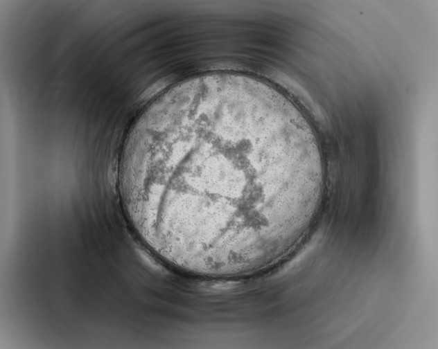 X0000086940841200705141800