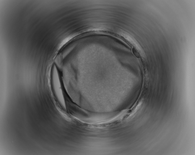 X0000086940842200705141800