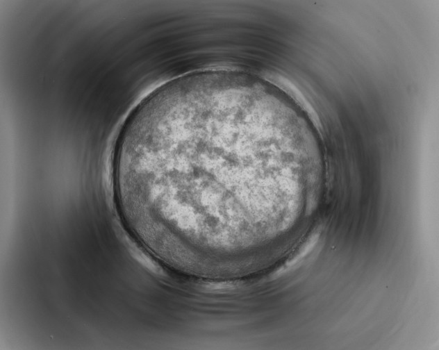 X0000086940843200705141800