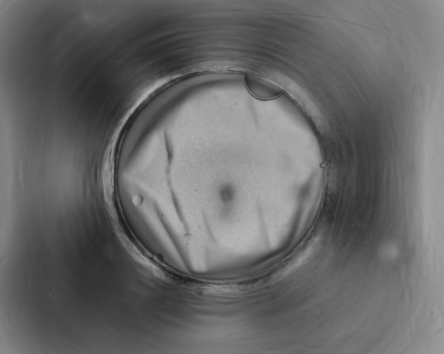 X0000086940844200705141800