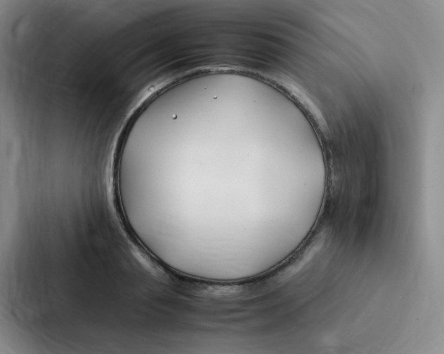 X0000086940845200705141800