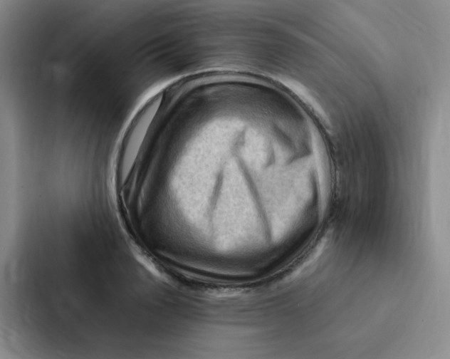 X0000086940846200705141800