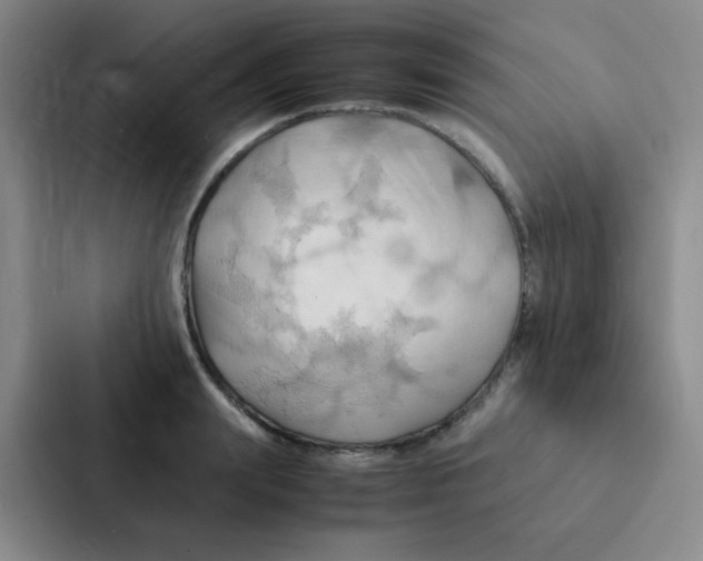 X0000086940847200705141800