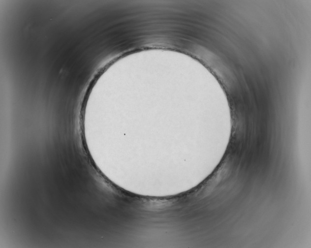 X0000086940848200705141800