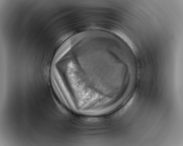 X0000086940849200705141801