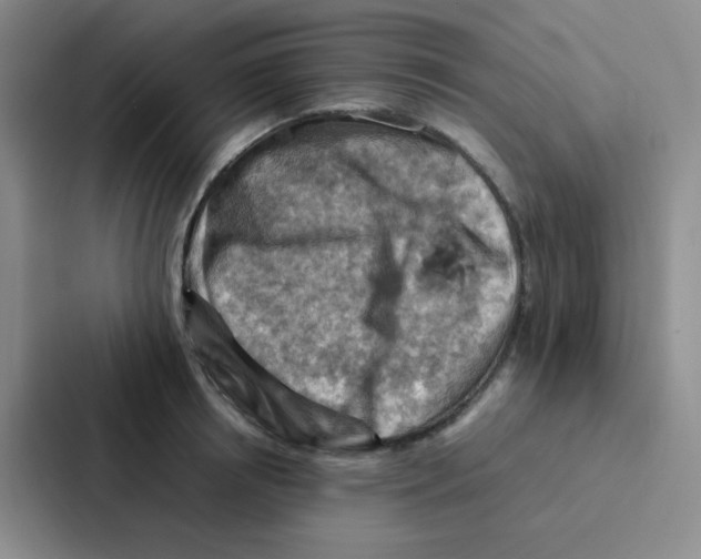 X0000086940850200705141801