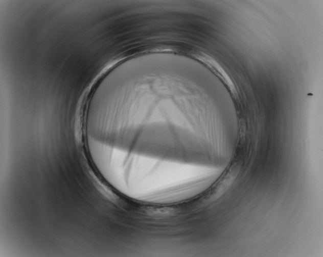 X0000086940851200705141801