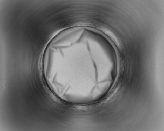 X0000086940852200705141801