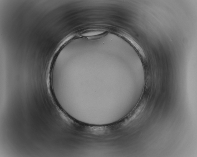 X0000086940853200705141801